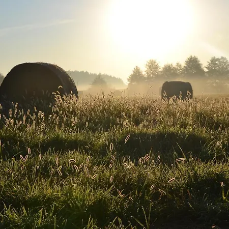 Staw I Koza Διαμέρισμα