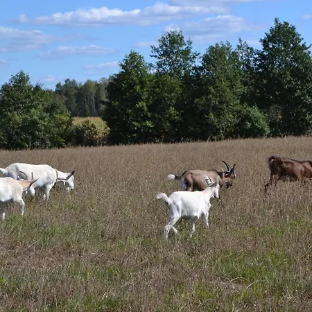 Διαμέρισμα Staw I Koza