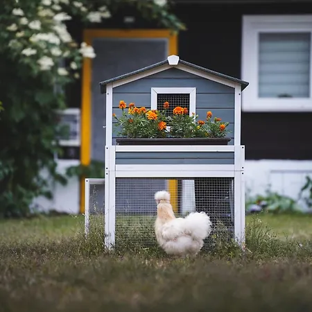 Διαμέρισμα Staw I Koza *