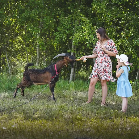 Staw I Koza Διαμέρισμα
